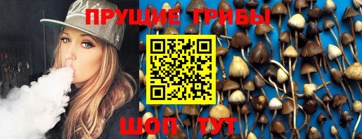 Камышлов  Галлюциногенные грибы мухоморы  Вход с VPN 