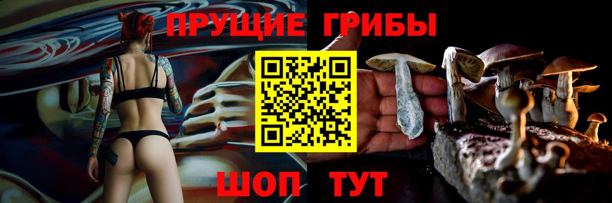 Псилоцибиновые грибы GOLDEN TEACHER Камышлов