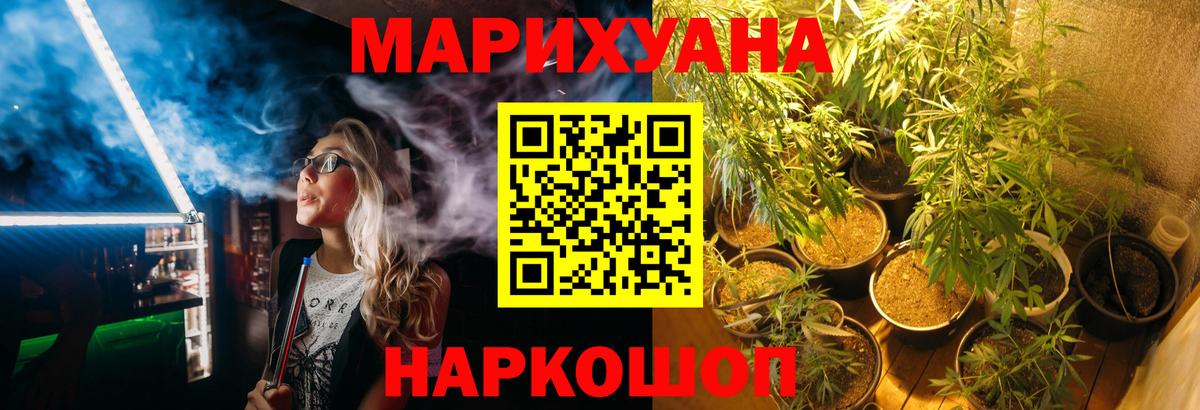 Камышлов  Конопля план  Шишки марихуана Bruce Banner  Вход с VPN  Канабис тримм  МАРИХУАНА Amnesia 